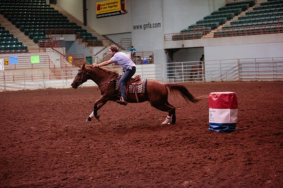 www.ngaphoto.com 2015 Georgia Federation of Saddle Clubs Championship Horse Show