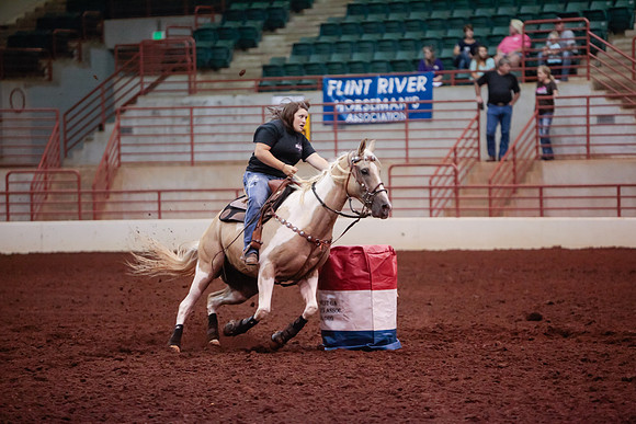 www.ngaphoto.com 2015 Georgia Federation of Saddle Clubs Championship Horse Show
