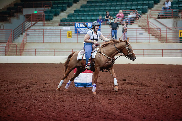 www.ngaphoto.com 2015 Georgia Federation of Saddle Clubs Championship Horse Show