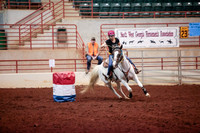 www.ngaphoto.com 2015 Georgia Federation of Saddle Clubs Championship Horse Show
