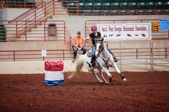 www.ngaphoto.com 2015 Georgia Federation of Saddle Clubs Championship Horse Show