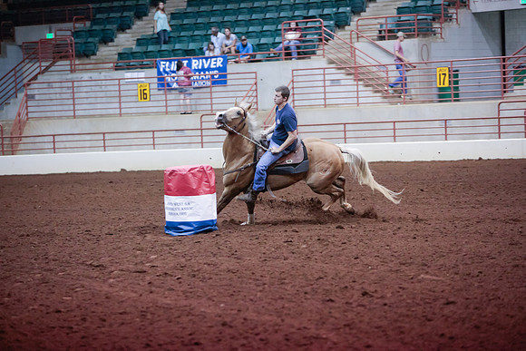 www.ngaphoto.com 2015 Georgia Federation of Saddle Clubs Championship Horse Show