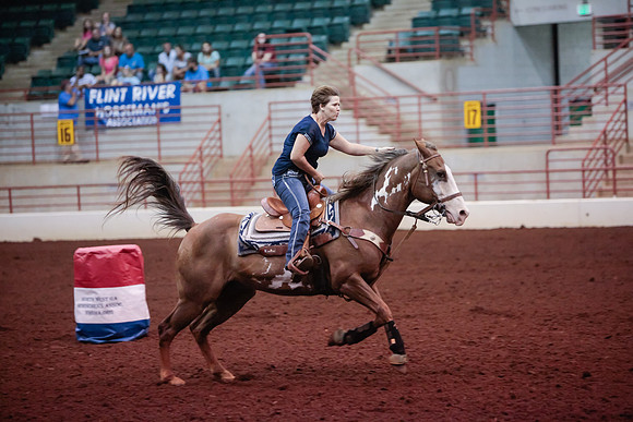 www.ngaphoto.com 2015 Georgia Federation of Saddle Clubs Championship Horse Show