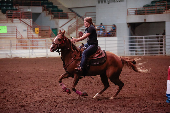 www.ngaphoto.com 2015 Georgia Federation of Saddle Clubs Championship Horse Show