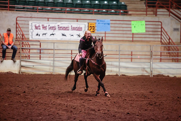 www.ngaphoto.com 2015 Georgia Federation of Saddle Clubs Championship Horse Show