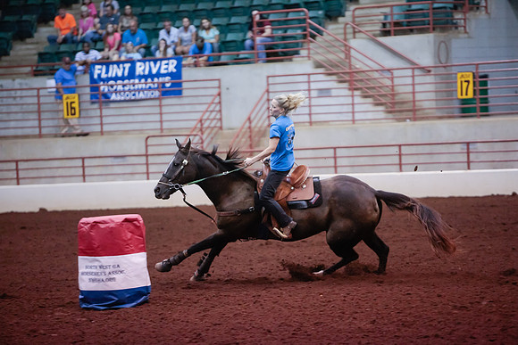 www.ngaphoto.com 2015 Georgia Federation of Saddle Clubs Championship Horse Show