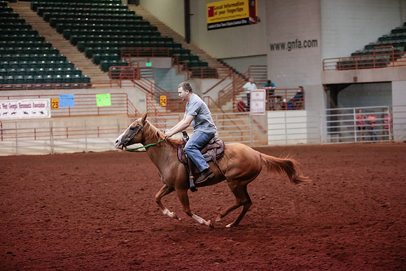 www.ngaphoto.com 2015 Georgia Federation of Saddle Clubs Championship Horse Show
