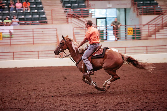 www.ngaphoto.com 2015 Georgia Federation of Saddle Clubs Championship Horse Show