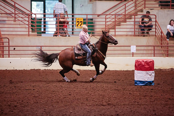 www.ngaphoto.com 2015 Georgia Federation of Saddle Clubs Championship Horse Show