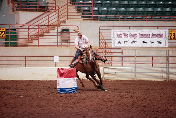 www.ngaphoto.com 2015 Georgia Federation of Saddle Clubs Championship Horse Show