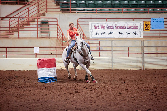 www.ngaphoto.com 2015 Georgia Federation of Saddle Clubs Championship Horse Show