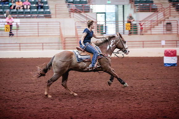 www.ngaphoto.com 2015 Georgia Federation of Saddle Clubs Championship Horse Show