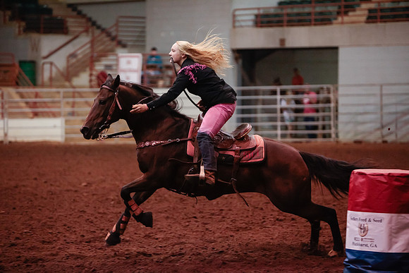 www.ngaphoto.com 2015 Georgia Federation of Saddle Clubs Championship Horse Show