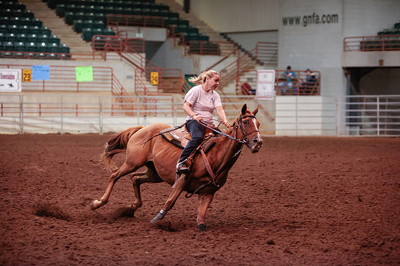 www.ngaphoto.com 2015 Georgia Federation of Saddle Clubs Championship Horse Show