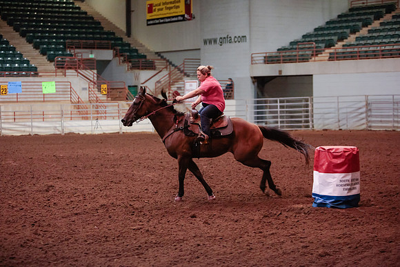www.ngaphoto.com 2015 Georgia Federation of Saddle Clubs Championship Horse Show
