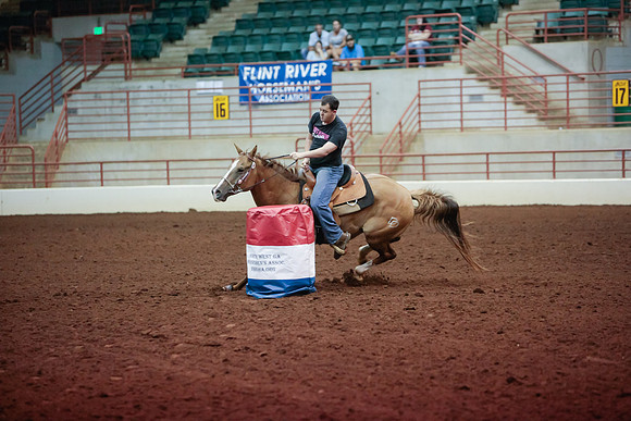 www.ngaphoto.com 2015 Georgia Federation of Saddle Clubs Championship Horse Show