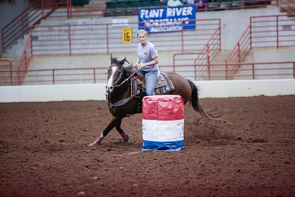 www.ngaphoto.com 2015 Georgia Federation of Saddle Clubs Championship Horse Show
