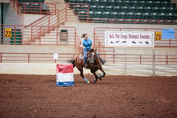 www.ngaphoto.com 2015 Georgia Federation of Saddle Clubs Championship Horse Show