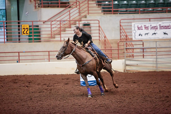 www.ngaphoto.com 2015 Georgia Federation of Saddle Clubs Championship Horse Show