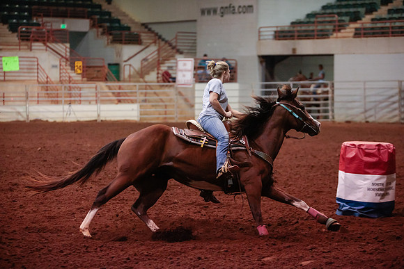 www.ngaphoto.com 2015 Georgia Federation of Saddle Clubs Championship Horse Show