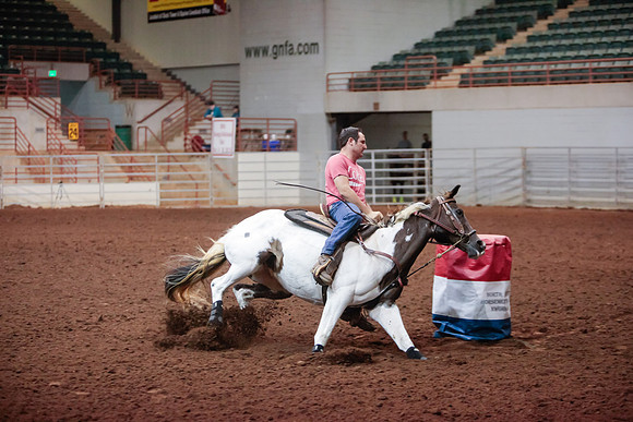 www.ngaphoto.com 2015 Georgia Federation of Saddle Clubs Championship Horse Show