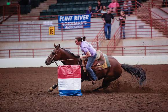 www.ngaphoto.com 2015 Georgia Federation of Saddle Clubs Championship Horse Show