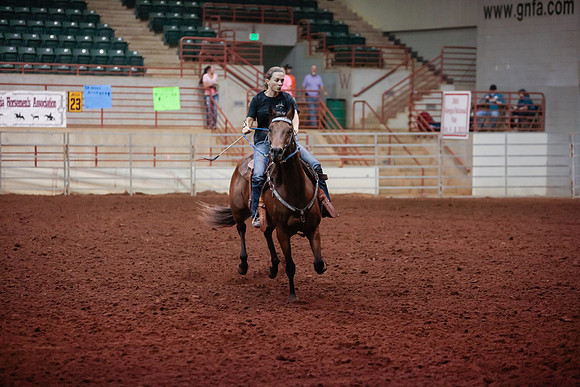 www.ngaphoto.com 2015 Georgia Federation of Saddle Clubs Championship Horse Show