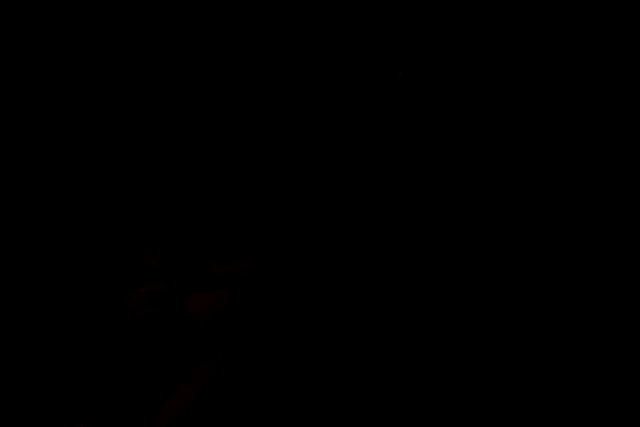 20230930-IMG_6856-2