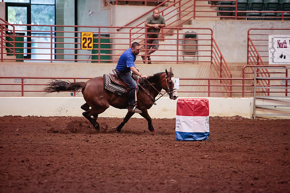 www.ngaphoto.com 2015 Georgia Federation of Saddle Clubs Championship Horse Show