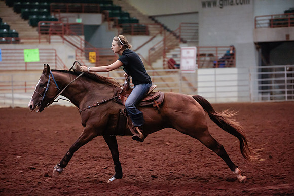 www.ngaphoto.com 2015 Georgia Federation of Saddle Clubs Championship Horse Show