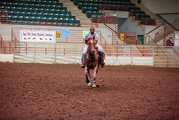 www.ngaphoto.com 2015 Georgia Federation of Saddle Clubs Championship Horse Show