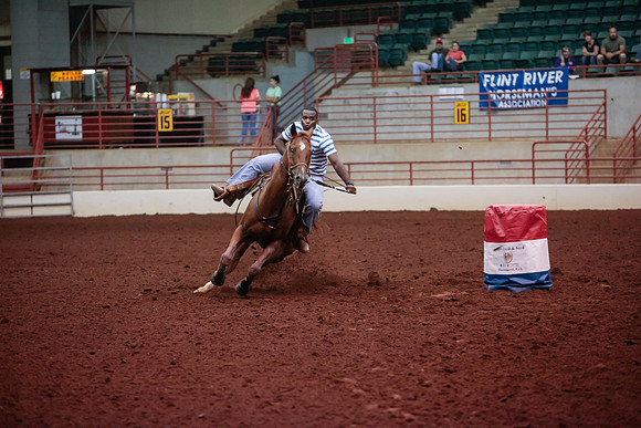 www.ngaphoto.com 2015 Georgia Federation of Saddle Clubs Championship Horse Show