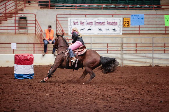 www.ngaphoto.com 2015 Georgia Federation of Saddle Clubs Championship Horse Show