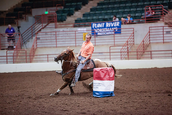 www.ngaphoto.com 2015 Georgia Federation of Saddle Clubs Championship Horse Show