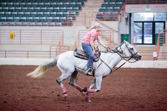 www.ngaphoto.com 2015 Georgia Federation of Saddle Clubs Championship Horse Show