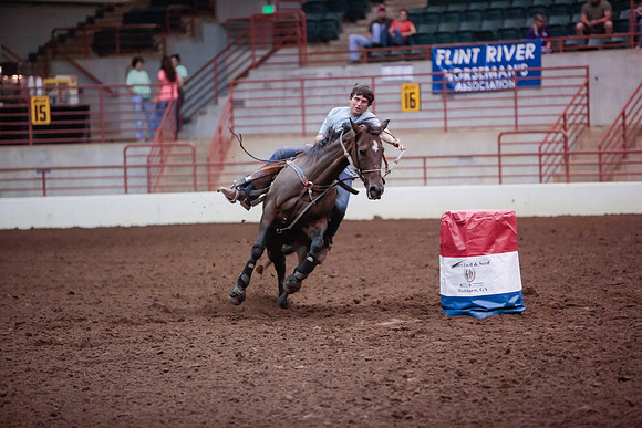 www.ngaphoto.com 2015 Georgia Federation of Saddle Clubs Championship Horse Show