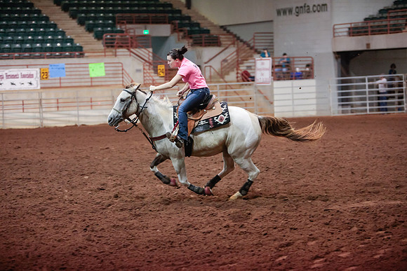 www.ngaphoto.com 2015 Georgia Federation of Saddle Clubs Championship Horse Show