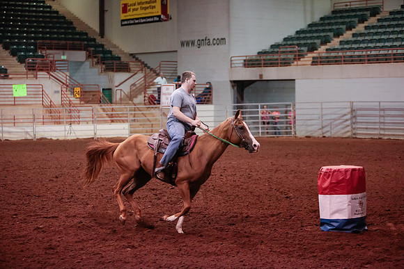 www.ngaphoto.com 2015 Georgia Federation of Saddle Clubs Championship Horse Show