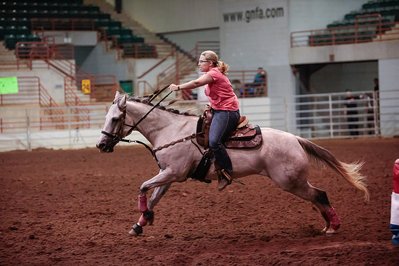 www.ngaphoto.com 2015 Georgia Federation of Saddle Clubs Championship Horse Show