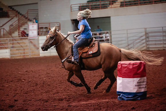 www.ngaphoto.com 2015 Georgia Federation of Saddle Clubs Championship Horse Show