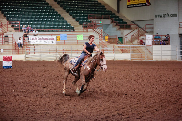 www.ngaphoto.com 2015 Georgia Federation of Saddle Clubs Championship Horse Show