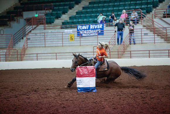 www.ngaphoto.com 2015 Georgia Federation of Saddle Clubs Championship Horse Show