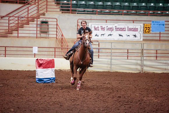 www.ngaphoto.com 2015 Georgia Federation of Saddle Clubs Championship Horse Show