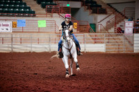 www.ngaphoto.com 2015 Georgia Federation of Saddle Clubs Championship Horse Show