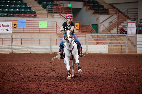 www.ngaphoto.com 2015 Georgia Federation of Saddle Clubs Championship Horse Show