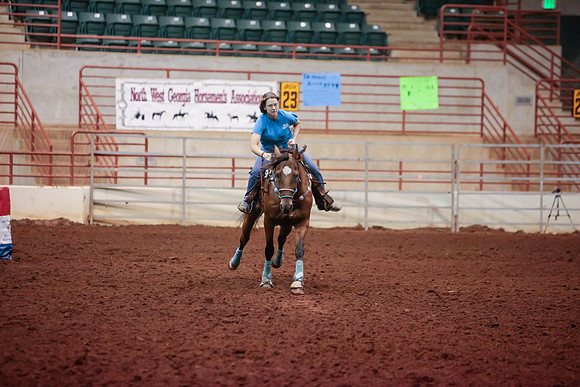 www.ngaphoto.com 2015 Georgia Federation of Saddle Clubs Championship Horse Show