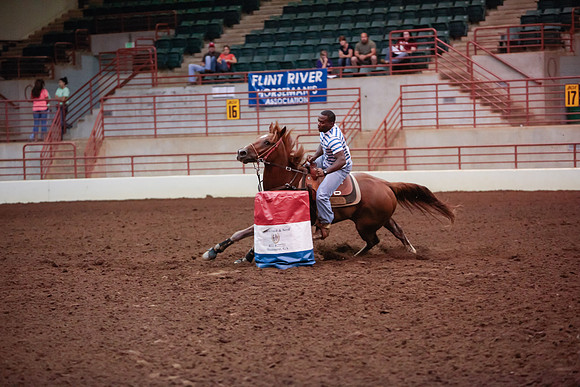 www.ngaphoto.com 2015 Georgia Federation of Saddle Clubs Championship Horse Show