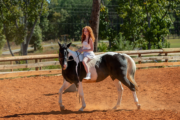 20241020-IMG_0981-2