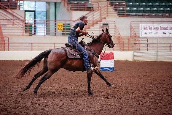 www.ngaphoto.com 2015 Georgia Federation of Saddle Clubs Championship Horse Show