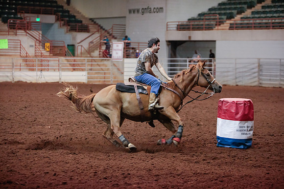 www.ngaphoto.com 2015 Georgia Federation of Saddle Clubs Championship Horse Show